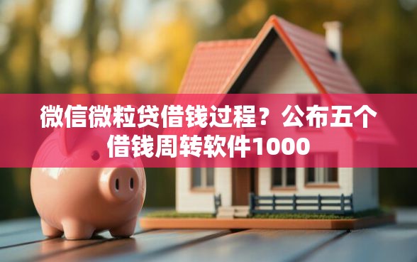 微信微粒贷借钱过程？公布五个借钱周转软件1000