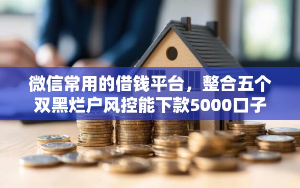 微信常用的借钱平台，整合五个双黑烂户风控能下款5000口子