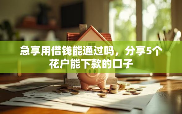 急享用借钱能通过吗，分享5个花户能下款的口子