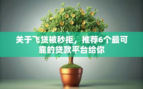 关于飞贷被秒拒，推荐6个最可靠的贷款平台给你