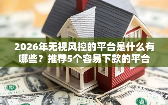 2026年无视风控的平台是什么有哪些？推荐5个容易下款的平台
