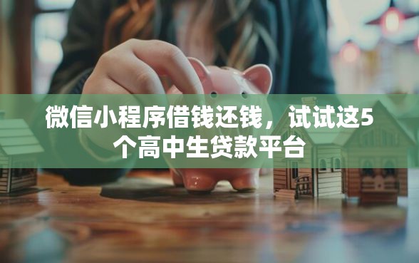 微信小程序借钱还钱，试试这5个高中生贷款平台