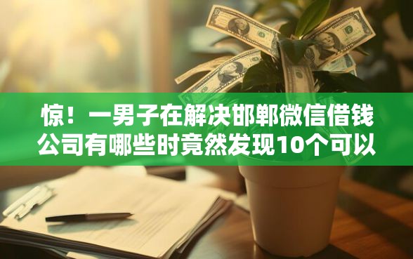惊！一男子在解决邯郸微信借钱公司有哪些时竟然发现10个可以借钱不用审核的口子，事后分享了出来