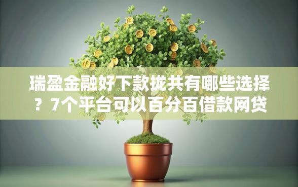 瑞盈金融好下款拢共有哪些选择？7个平台可以百分百借款网贷详解