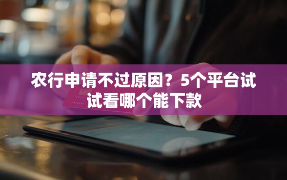 农行申请不过原因？5个平台试试看哪个能下款