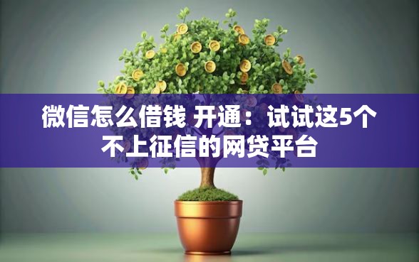 微信怎么借钱 开通：试试这5个不上征信的网贷平台