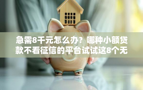 急需8千元怎么办？哪种小额贷款不看征信的平台试试这8个无门槛平台