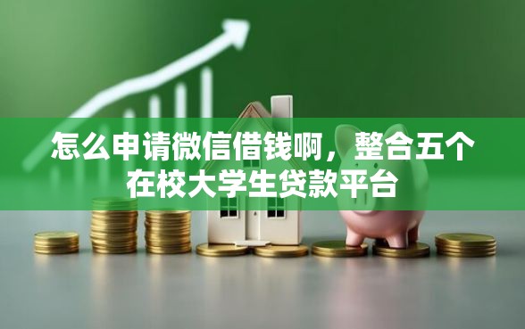 怎么申请微信借钱啊，整合五个在校大学生贷款平台
