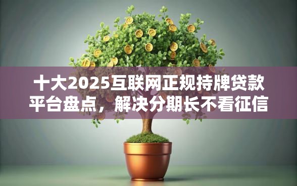 十大2025互联网正规持牌贷款平台盘点，解决分期长不看征信的问题