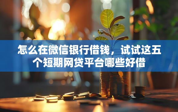 怎么在微信银行借钱，试试这五个短期网贷平台哪些好借