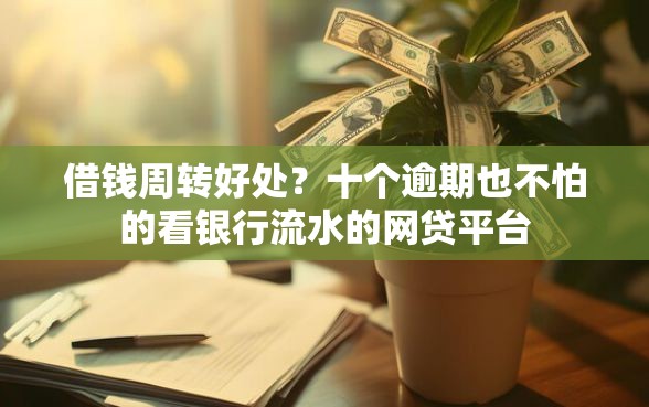 借钱周转好处？十个逾期也不怕的看银行流水的网贷平台