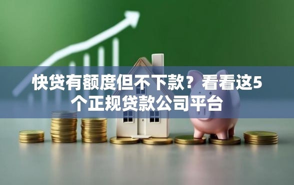 快贷有额度但不下款？看看这5个正规贷款公司平台