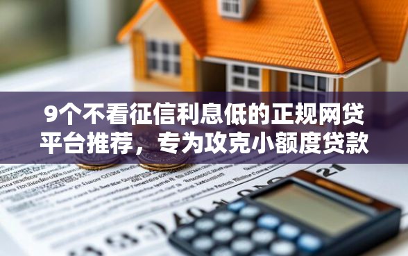 9个不看征信利息低的正规网贷平台推荐，专为攻克小额度贷款需要什么条件难题