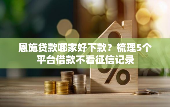 恩施贷款哪家好下款？梳理5个平台借款不看征信记录