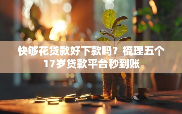 快够花贷款好下款吗？梳理五个17岁贷款平台秒到账