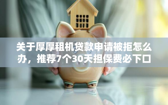 关于厚厚租机贷款申请被拒怎么办，推荐7个30天担保费必下口子2025给你