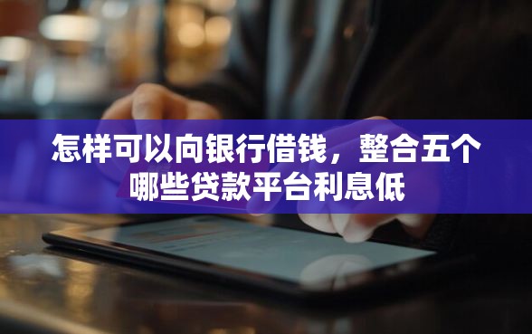 怎样可以向银行借钱，整合五个哪些贷款平台利息低