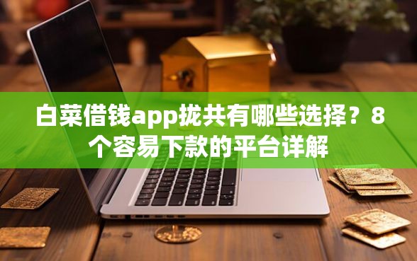 白菜借钱app拢共有哪些选择？8个容易下款的平台详解