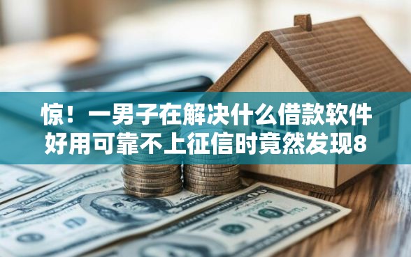 惊！一男子在解决什么借款软件好用可靠不上征信时竟然发现8个小额贷款软件，事后分享了出来
