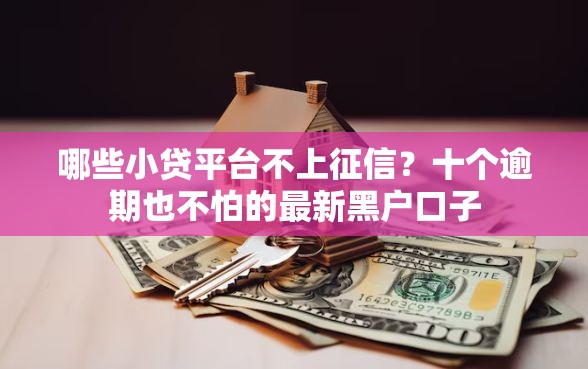 哪些小贷平台不上征信？十个逾期也不怕的最新黑户口子