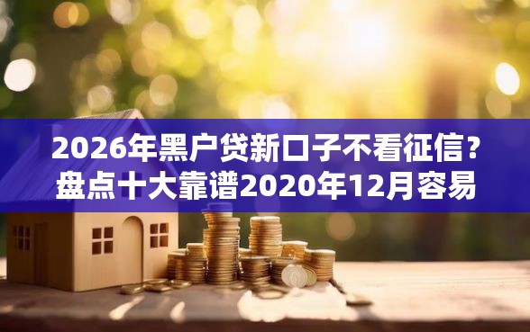 2026年黑户贷新口子不看征信？盘点十大靠谱2020年12月容易下款的口子