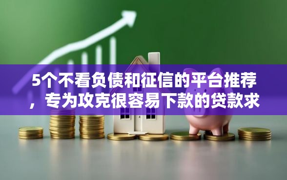 5个不看负债和征信的平台推荐，专为攻克很容易下款的贷款求推荐难题