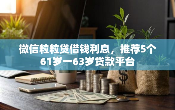 微信粒粒贷借钱利息，推荐5个61岁一63岁贷款平台