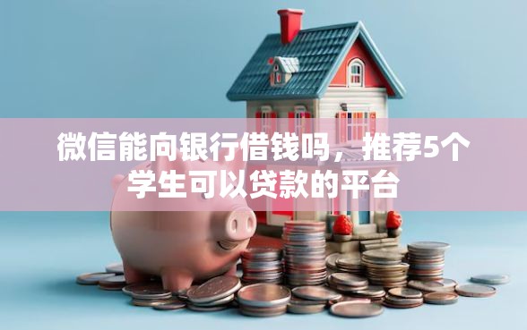微信能向银行借钱吗，推荐5个学生可以贷款的平台