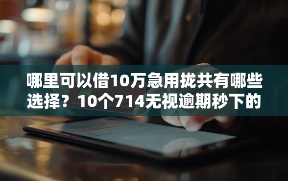 哪里可以借10万急用拢共有哪些选择？10个714无视逾期秒下的口子详解