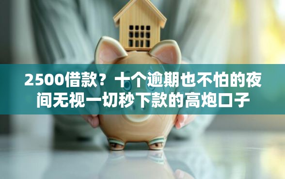 2500借款？十个逾期也不怕的夜间无视一切秒下款的高炮口子