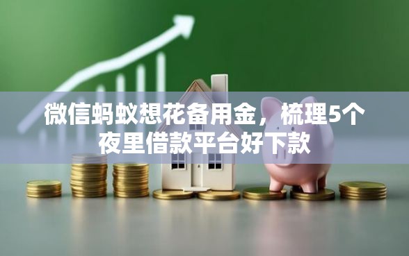 微信蚂蚁想花备用金，梳理5个夜里借款平台好下款