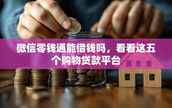 微信零钱通能借钱吗,看看这五个购物贷款平台 微信零钱通能借钱吗,看看这五个购物贷款平台