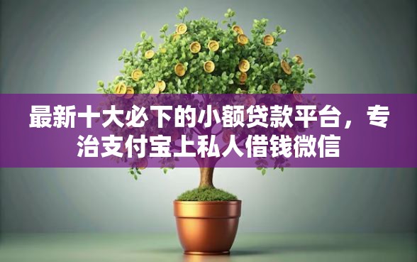 最新十大必下的小额贷款平台，专治支付宝上私人借钱微信