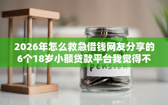 2026年怎么救急借钱网友分享的6个18岁小额贷款平台我觉得不错！
