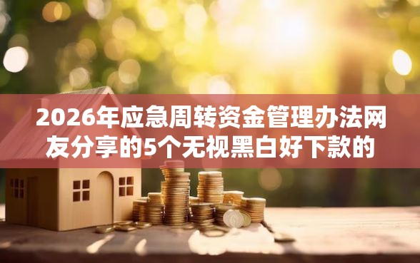 2026年应急周转资金管理办法网友分享的5个无视黑白好下款的软件我觉得不错！