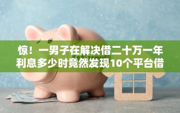 惊！一男子在解决借二十万一年利息多少时竟然发现10个平台借钱还不起怎么办，事后分享了出来