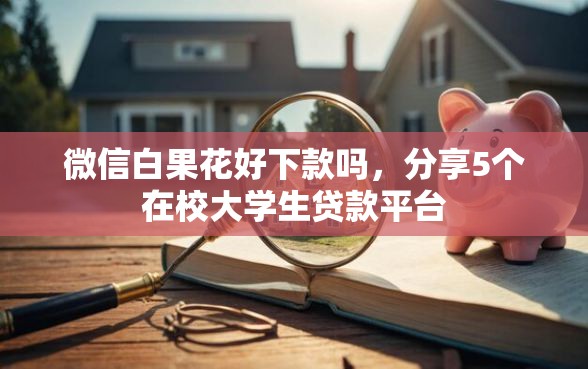 微信白果花好下款吗，分享5个在校大学生贷款平台