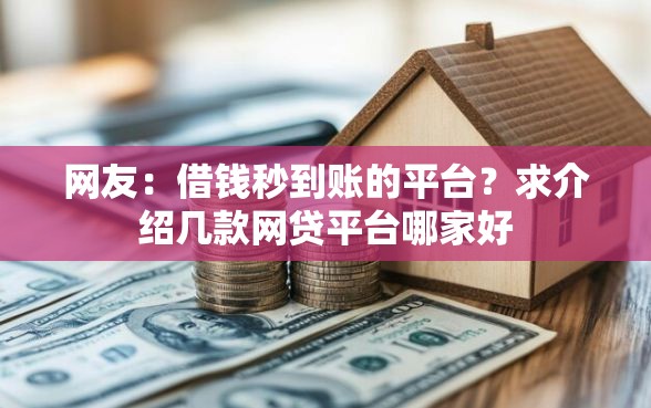 网友：借钱秒到账的平台？求介绍几款网贷平台哪家好