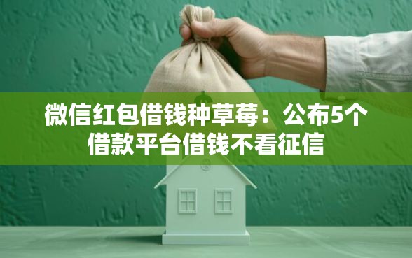 微信红包借钱种草莓：公布5个借款平台借钱不看征信