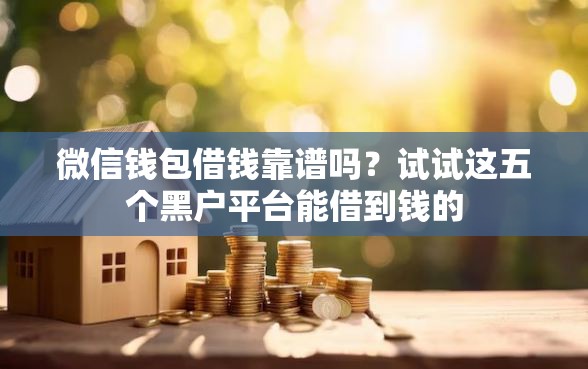微信钱包借钱靠谱吗？试试这五个黑户平台能借到钱的