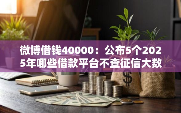 微博借钱40000：公布5个2025年哪些借款平台不查征信大数据