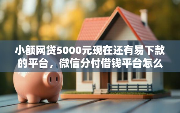 小额网贷5000元现在还有易下款的平台，微信分付借钱平台怎么样的8个平台介绍