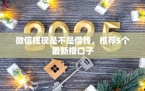 微信提现是不是借钱，推荐5个最新撸口子