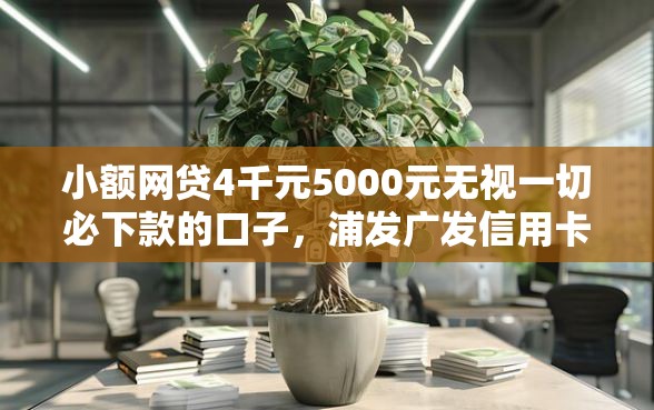小额网贷4千元5000元无视一切必下款的口子，浦发广发信用卡被拒的5个平台介绍