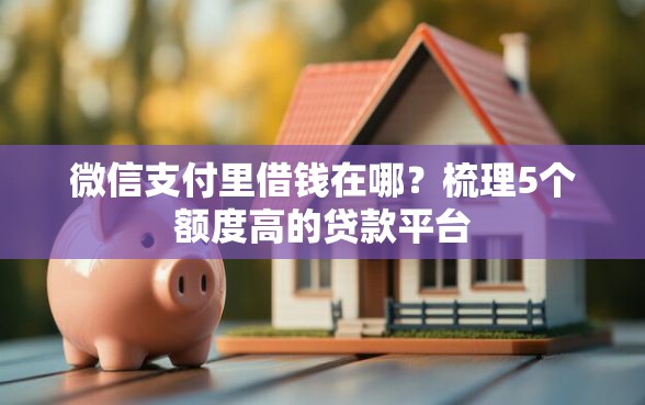 微信支付里借钱在哪？梳理5个额度高的贷款平台