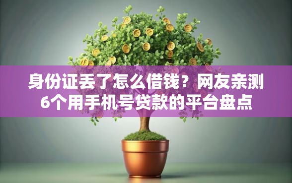 身份证丢了怎么借钱？网友亲测6个用手机号贷款的平台盘点