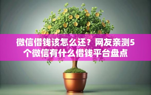 微信借钱该怎么还？网友亲测5个微信有什么借钱平台盘点