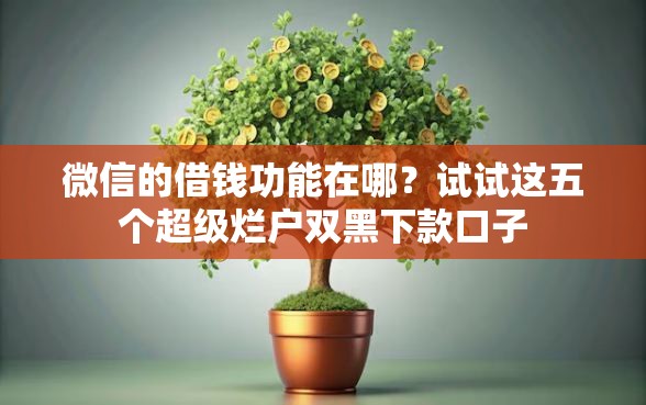 微信的借钱功能在哪？试试这五个超级烂户双黑下款口子