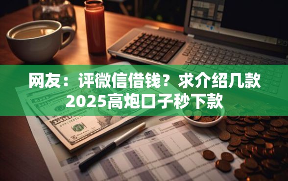 网友：评微信借钱？求介绍几款2025高炮口子秒下款