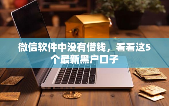 微信软件中没有借钱，看看这5个最新黑户口子